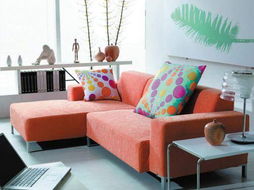 家居用品正確使用與后期保養(yǎng)全攻略